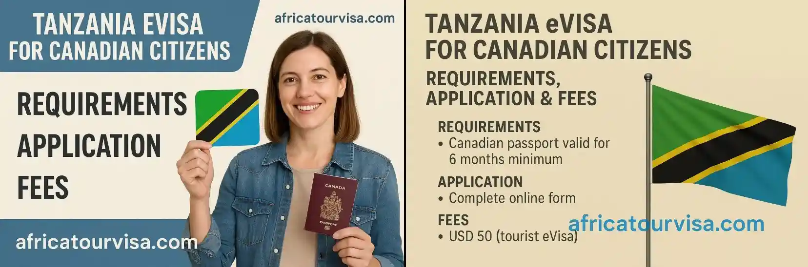 Tanzania eVisa online application guide