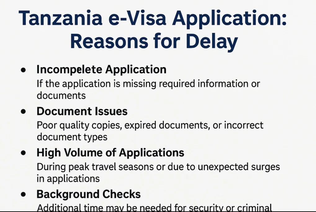 image-document-and-explain-why-the-tanzania-e-Visa-application-can-delay