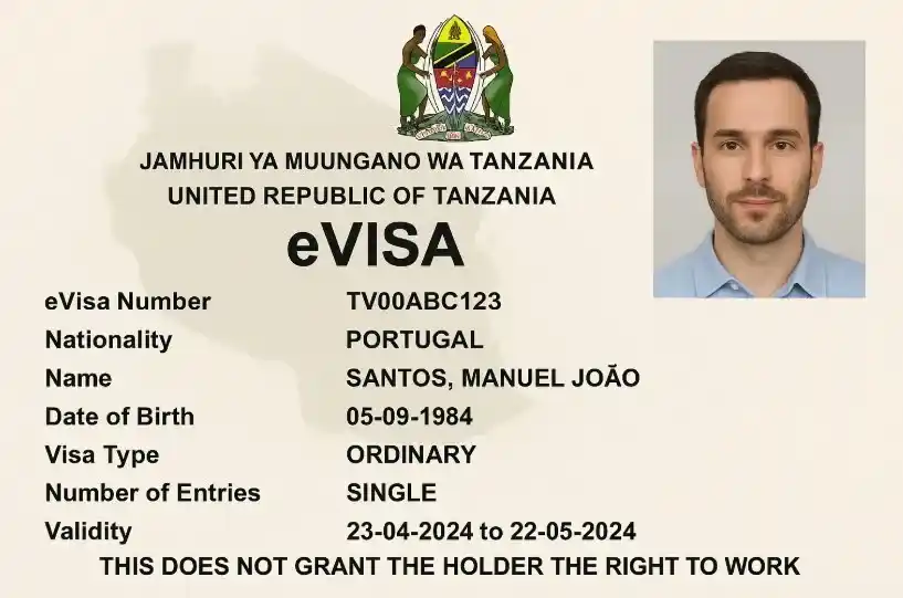 Tanzania offers an online electronic visa (e-Visa): Applications must be submitted before traveling, with processing done by the Immigration Department in Dar es Salaam.