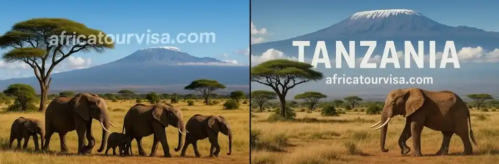 Norway Citizens need a Tanzania eVisa to travel. Learn about visa requirements, fees, application steps, and processing time for Norway travelers in 2025. Norway Citizens need a Tanzania eVisa to travel. Learn about visa requirements, fees, application steps, and processing time for Norway travelers in 2025.